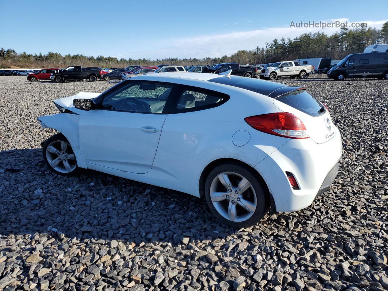 2013 Hyundai Veloster  White vin: KMHTC6AD4CU034606