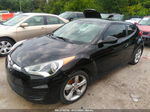 2013 Hyundai Veloster W/gray Int Black vin: KMHTC6AD4DU085055