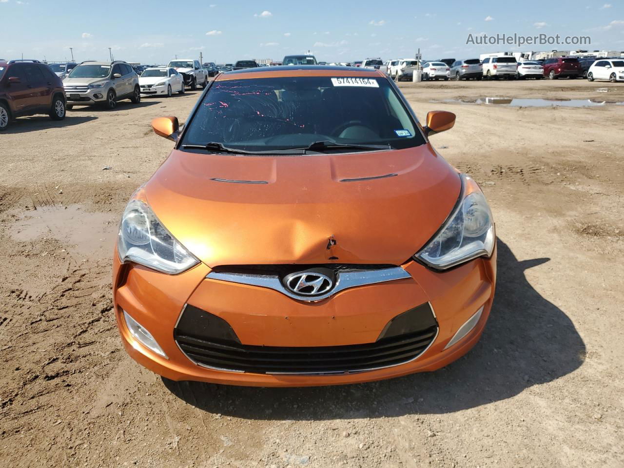 2013 Hyundai Veloster  Оранжевый vin: KMHTC6AD4DU113145