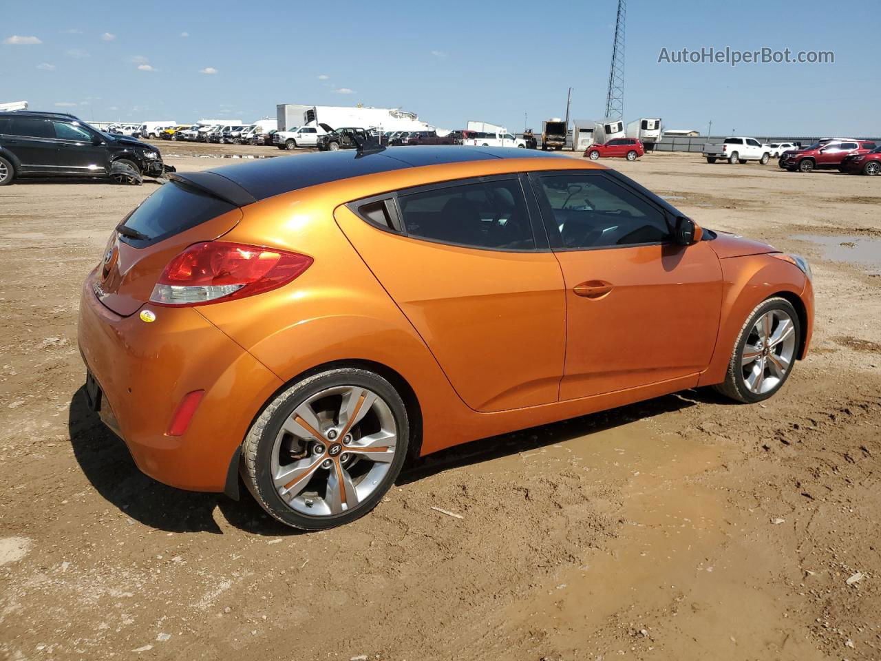 2013 Hyundai Veloster  Orange vin: KMHTC6AD4DU113145