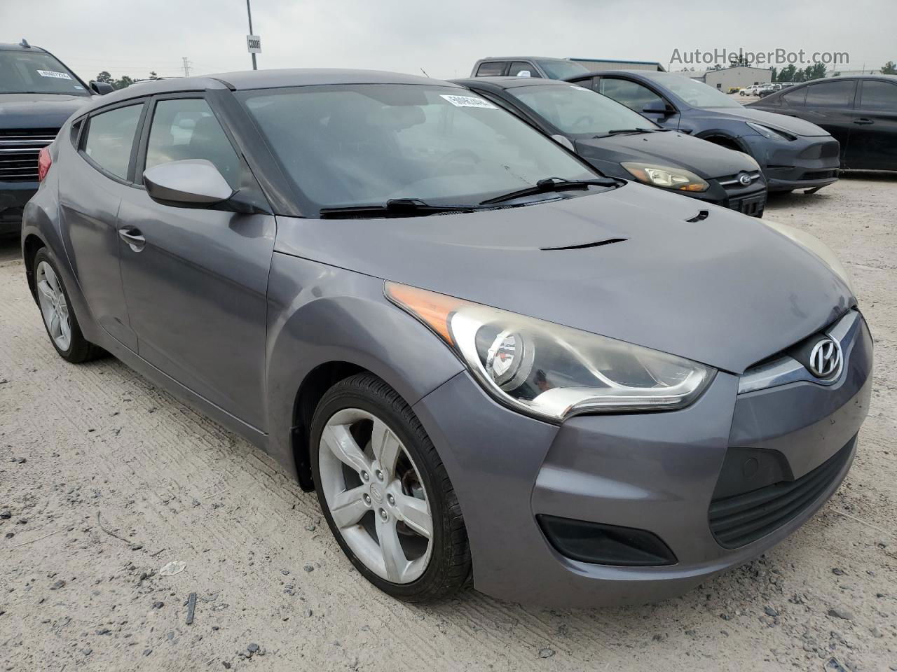 2013 Hyundai Veloster  Gray vin: KMHTC6AD4DU143942