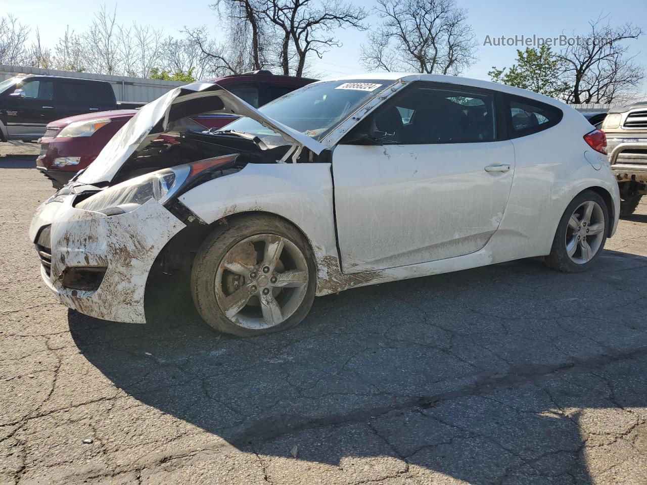 2013 Hyundai Veloster  White vin: KMHTC6AD5DU167702