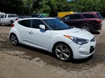 2013 Hyundai Veloster  White vin: KMHTC6AD5DU169658