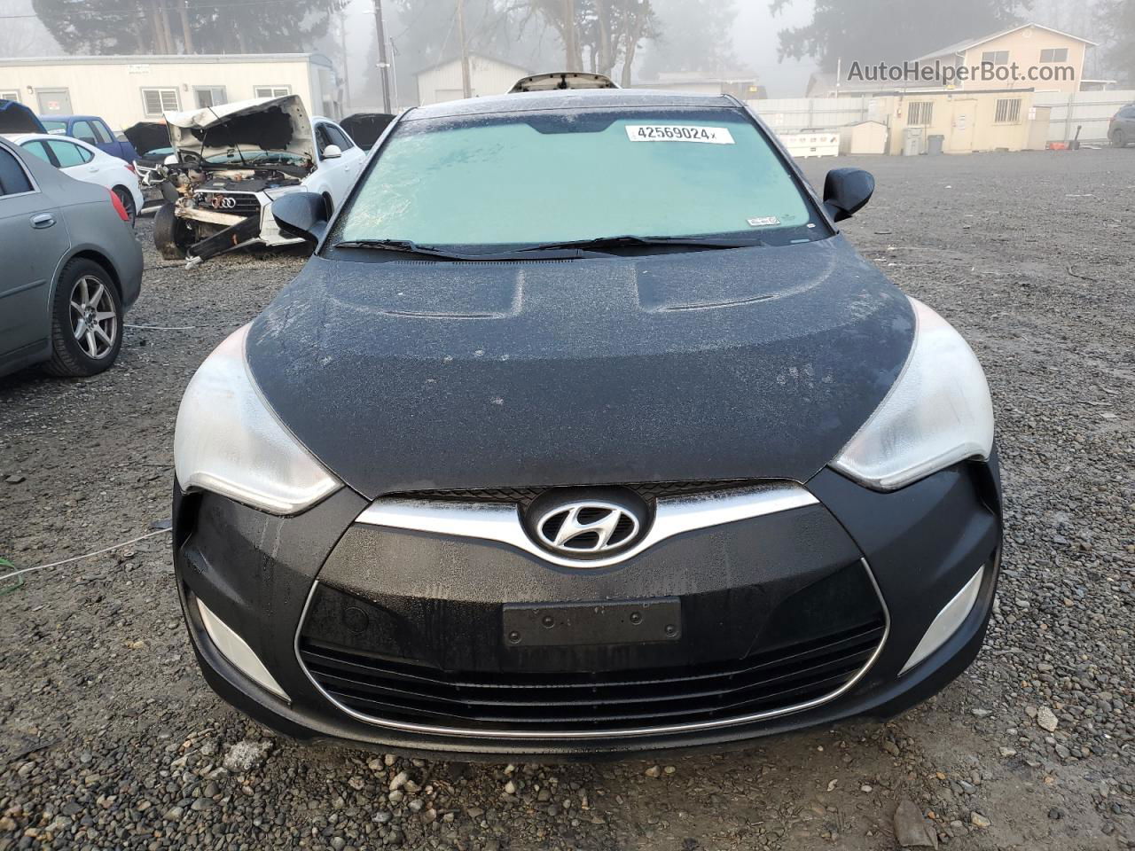 2013 Hyundai Veloster  Black vin: KMHTC6AD6DU136281