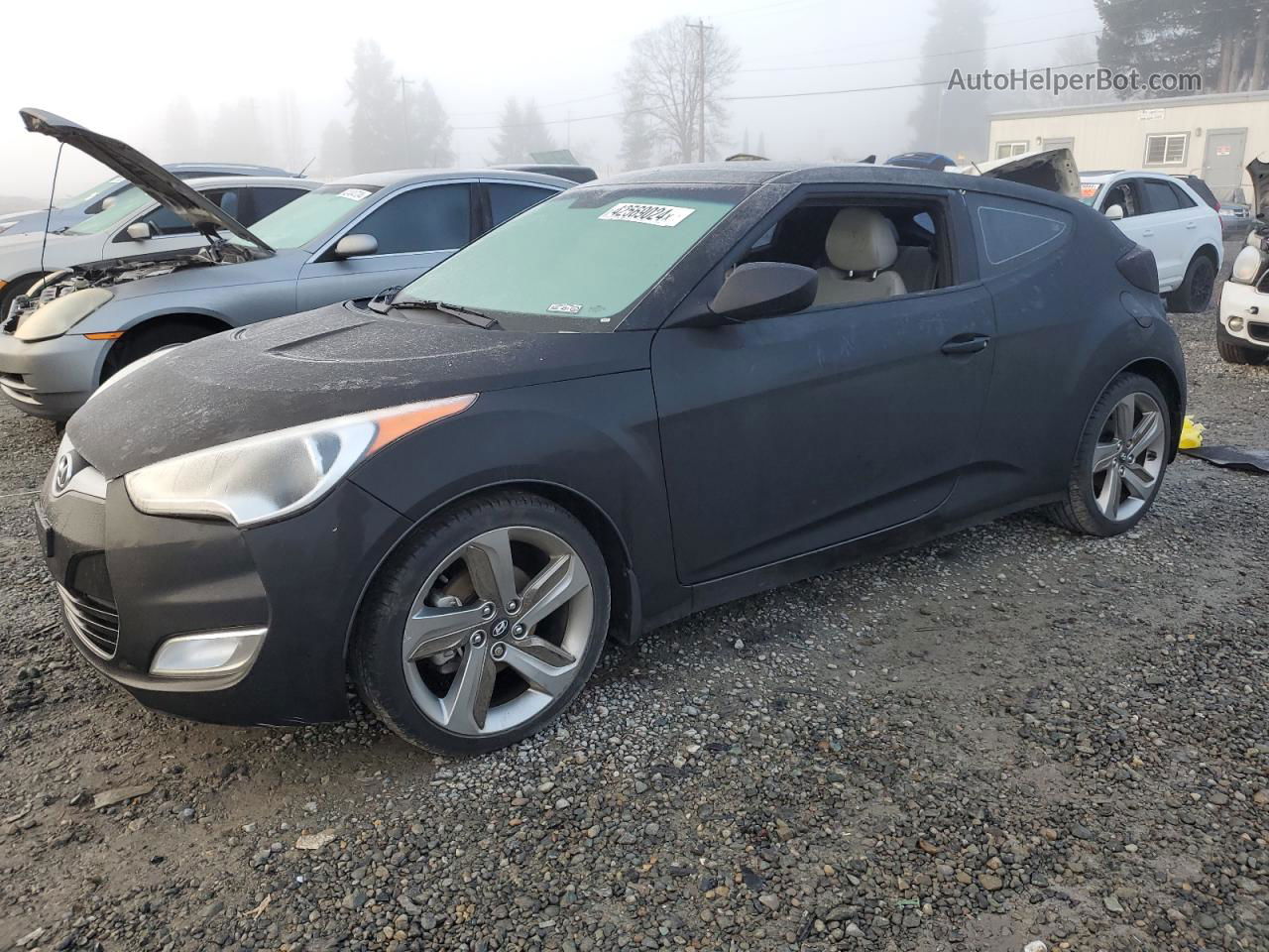 2013 Hyundai Veloster  Black vin: KMHTC6AD6DU136281