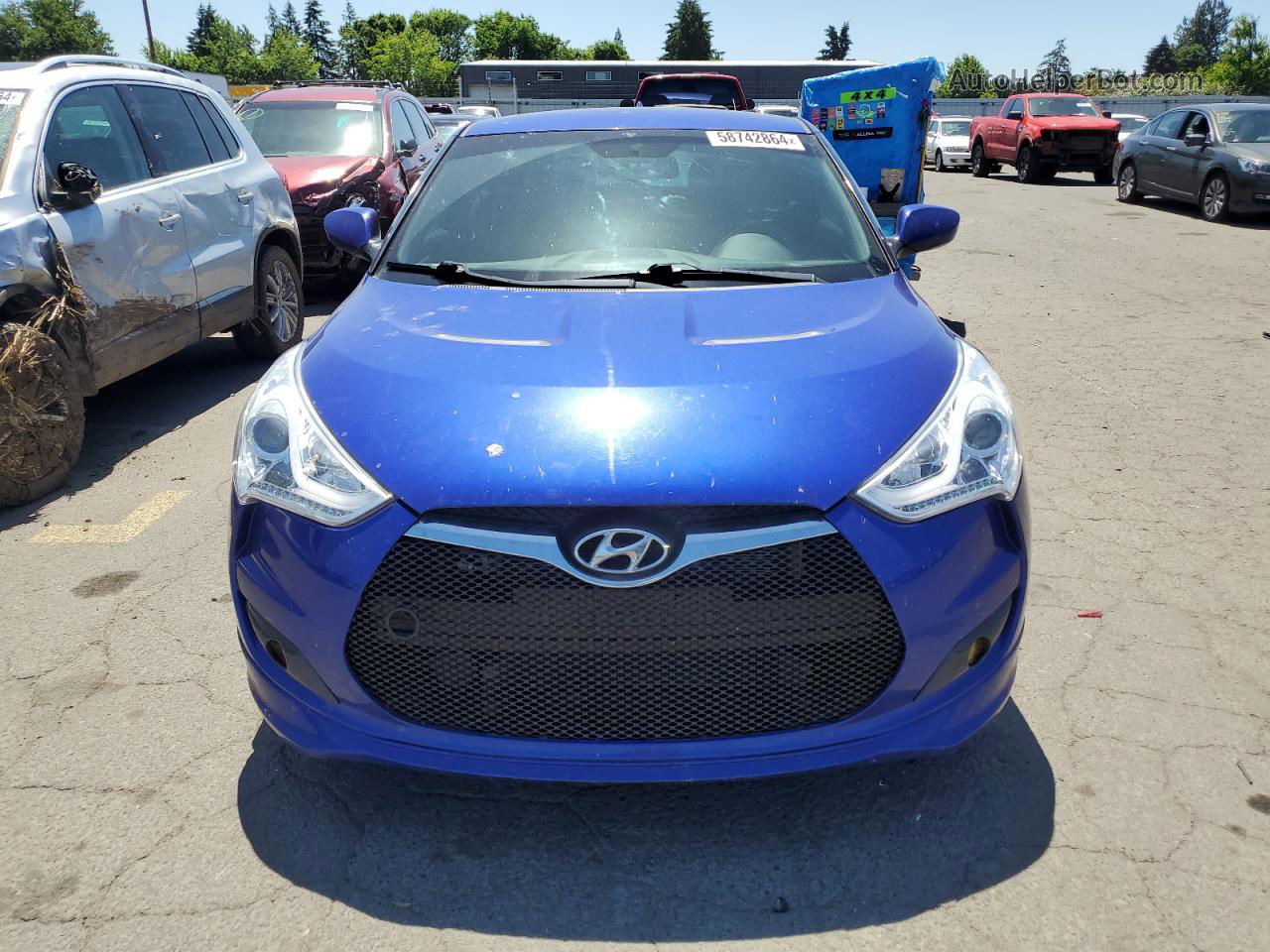 2013 Hyundai Veloster  Blue vin: KMHTC6AD6DU136426