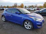 2013 Hyundai Veloster  Blue vin: KMHTC6AD6DU165358