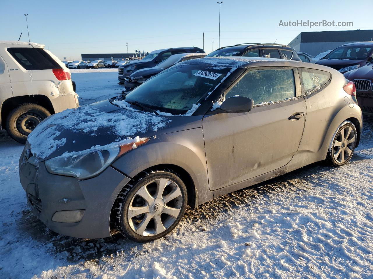 2013 Hyundai Veloster  Gray vin: KMHTC6AD6DU181494