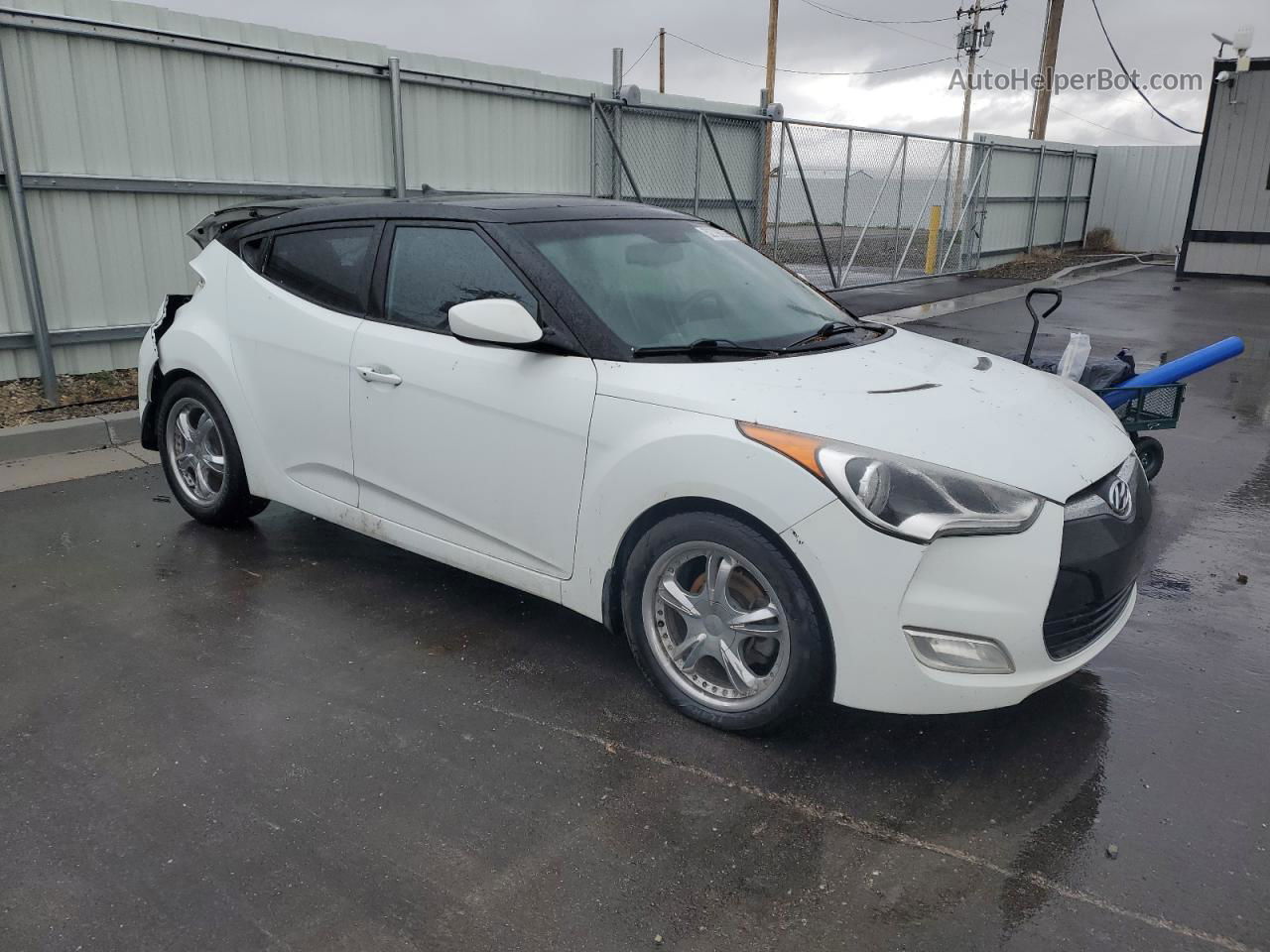 2013 Hyundai Veloster  White vin: KMHTC6AD7DU123894