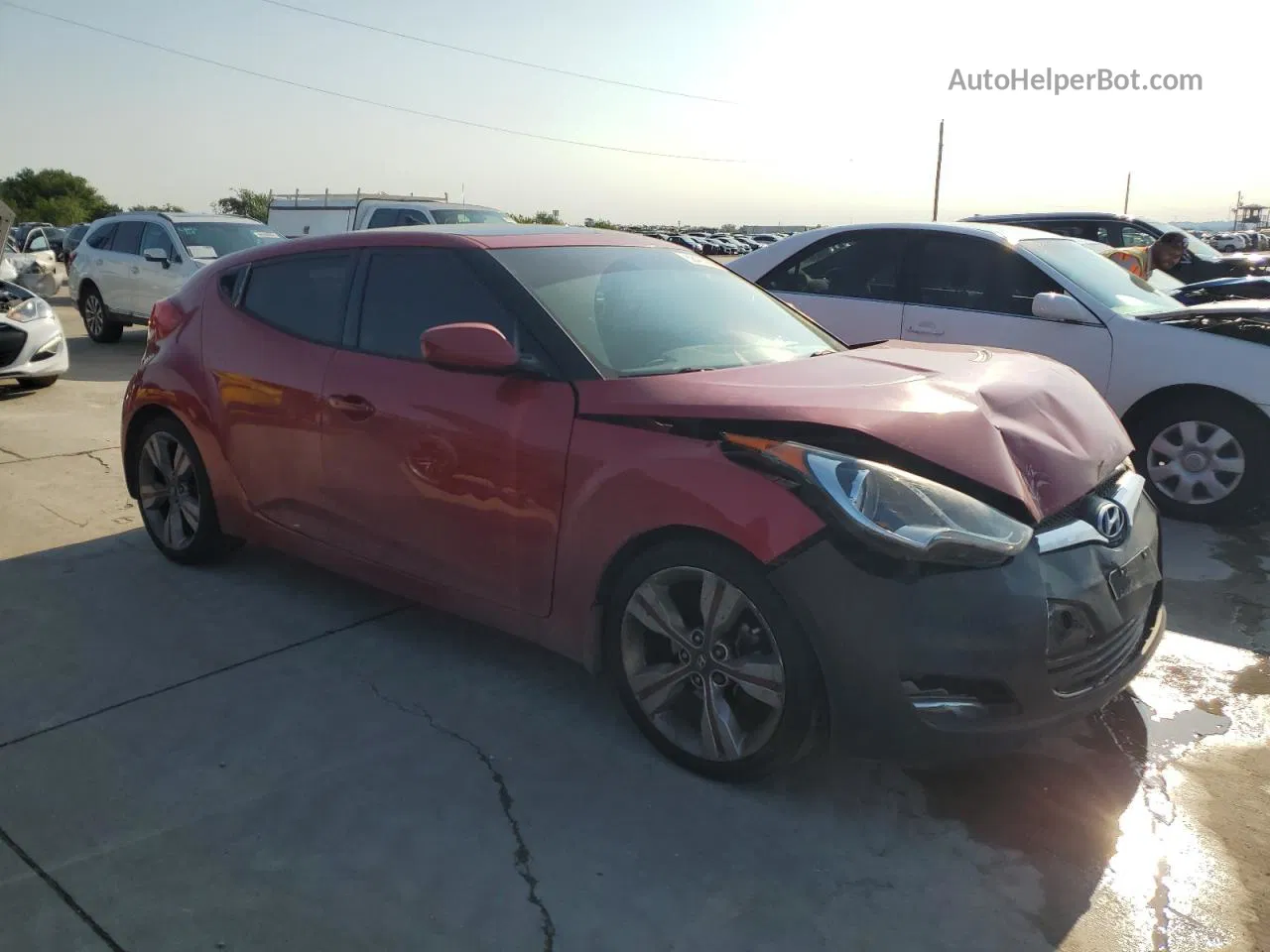 2013 Hyundai Veloster  Красный vin: KMHTC6AD7DU157317