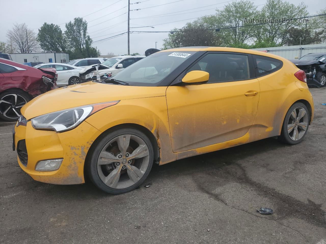 2013 Hyundai Veloster Gold vin: KMHTC6AD7DU165062