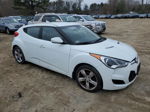 2013 Hyundai Veloster  White vin: KMHTC6AD9DU114243