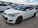 2013 Hyundai Veloster White vin: KMHTC6AD9DU117711