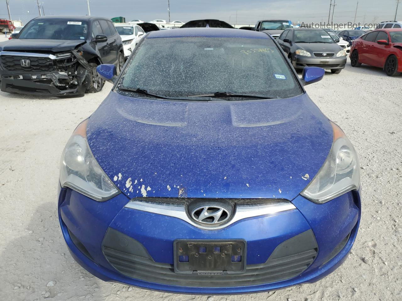 2013 Hyundai Veloster  Blue vin: KMHTC6ADXDU132525