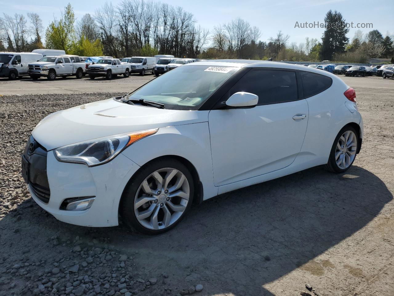 2013 Hyundai Veloster  White vin: KMHTC6ADXDU135618