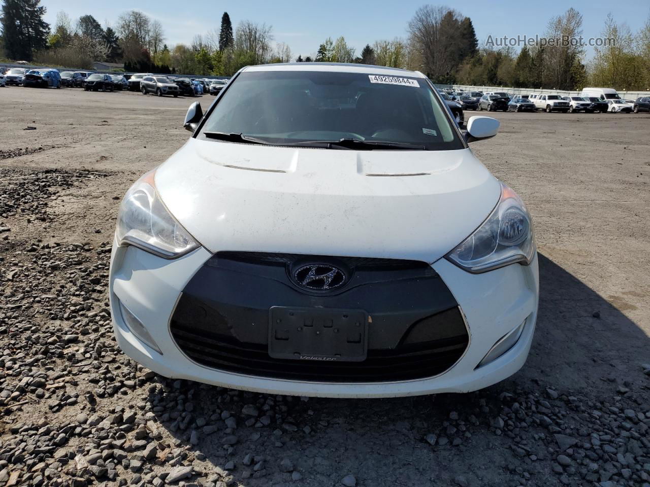 2013 Hyundai Veloster  White vin: KMHTC6ADXDU135618