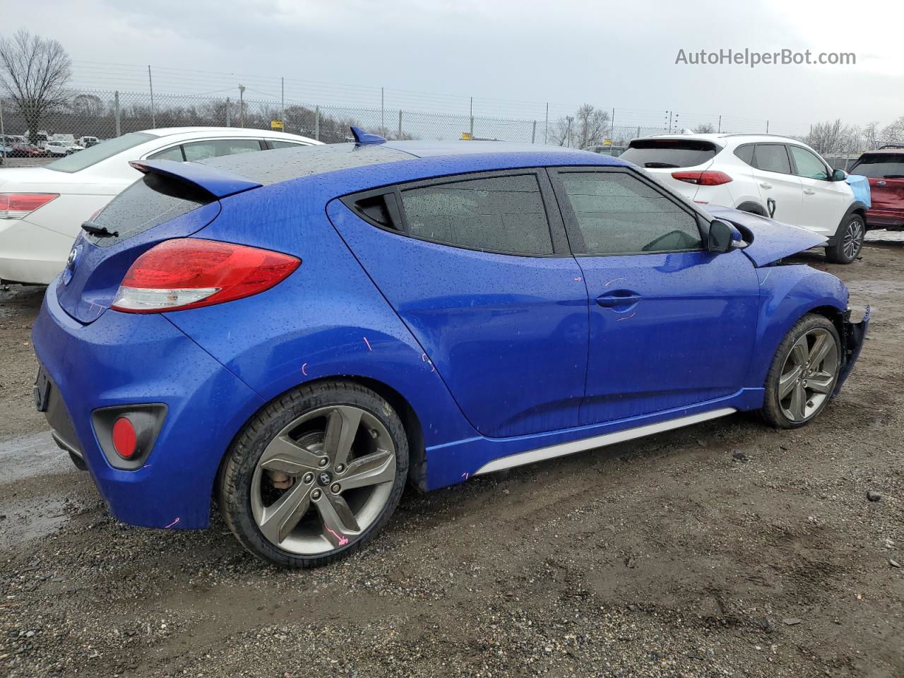 2013 Hyundai Veloster Turbo Синий vin: KMHTC6AE0DU095512