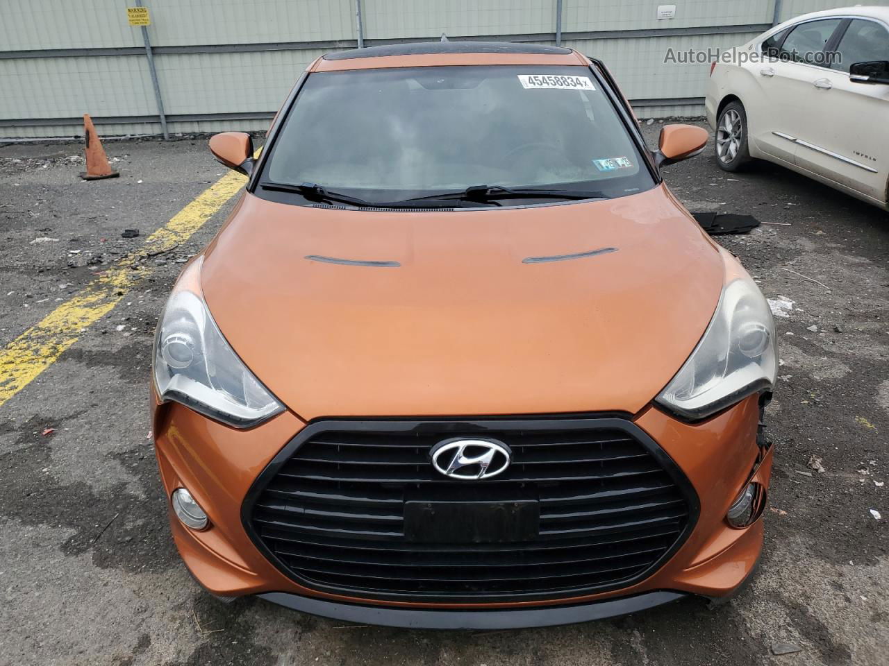 2013 Hyundai Veloster Turbo Оранжевый vin: KMHTC6AE1DU129487