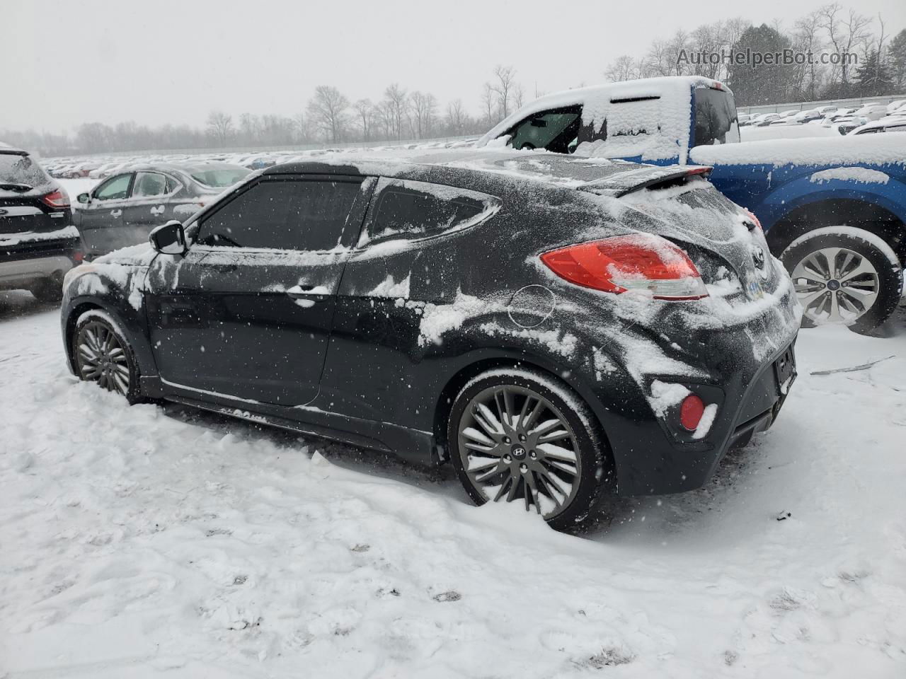 2013 Hyundai Veloster Turbo Black vin: KMHTC6AE1DU143163