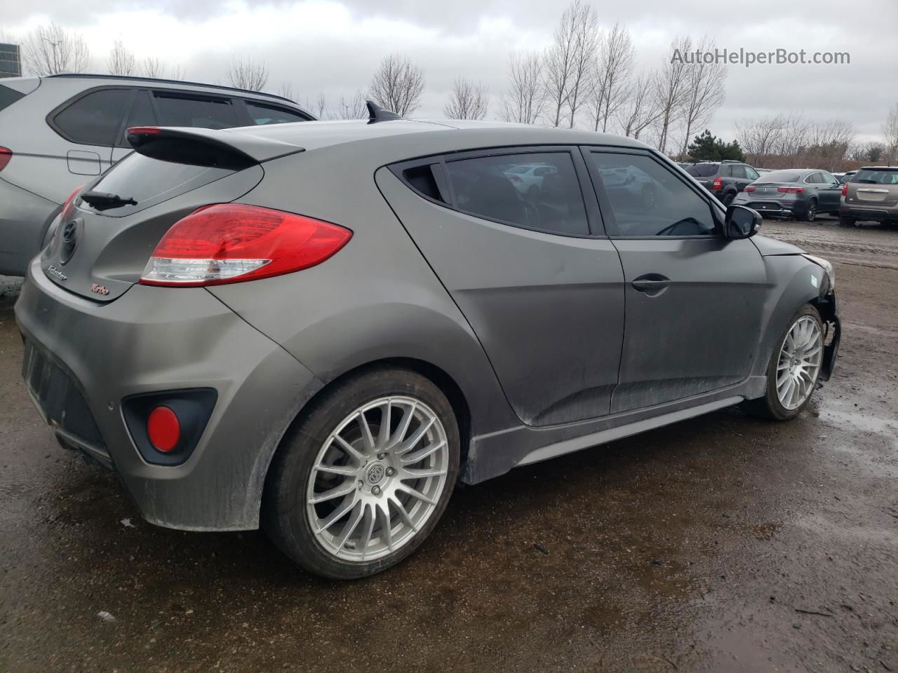 2013 Hyundai Veloster Turbo Gray vin: KMHTC6AE2DU158478