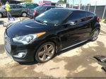 2013 Hyundai Veloster Turbo W/blue Черный vin: KMHTC6AE4DU124008