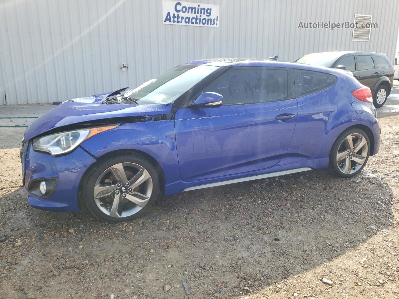 2013 Hyundai Veloster Turbo Синий vin: KMHTC6AE4DU168106