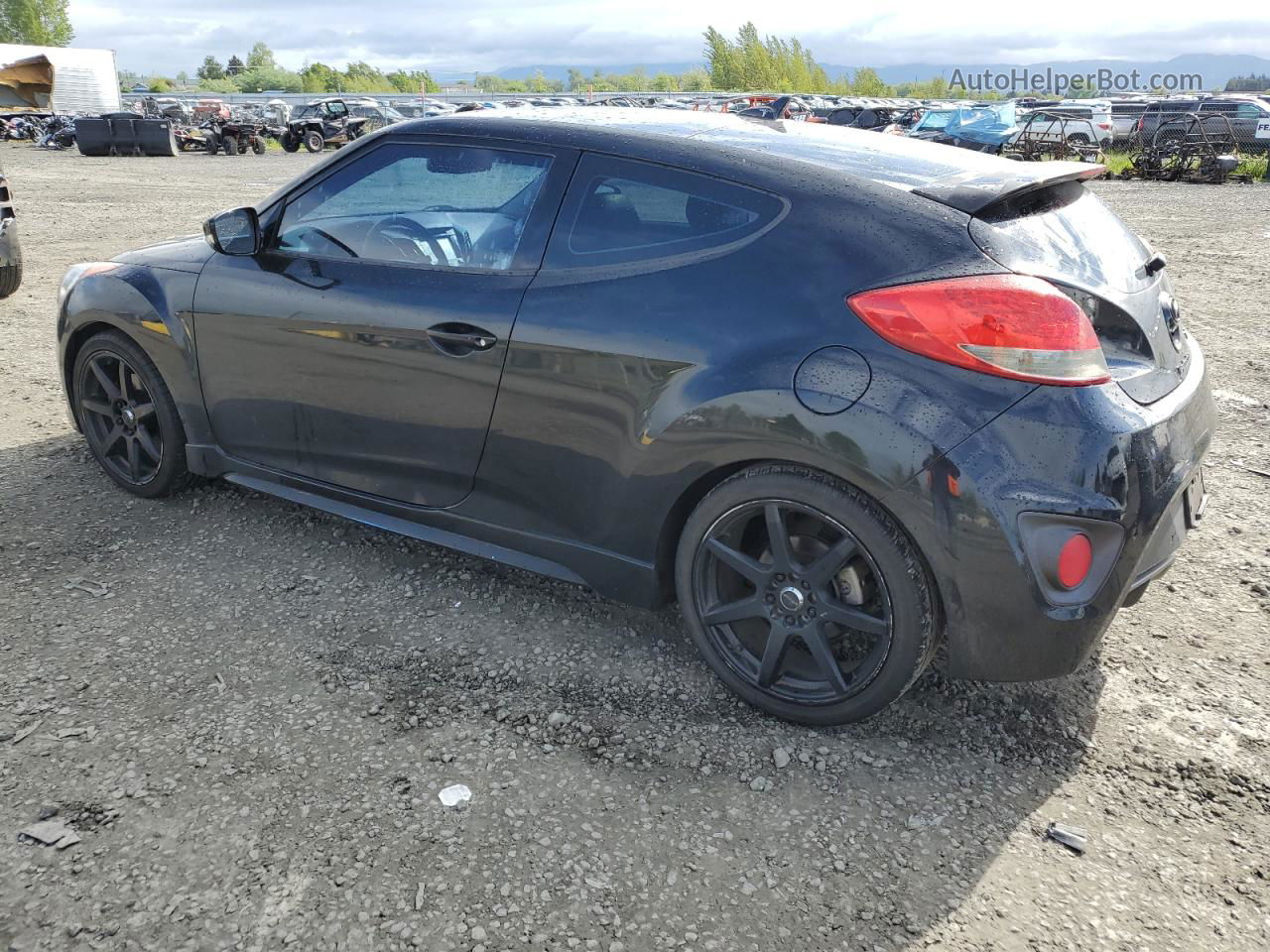 2013 Hyundai Veloster Turbo Black vin: KMHTC6AE5DU105922