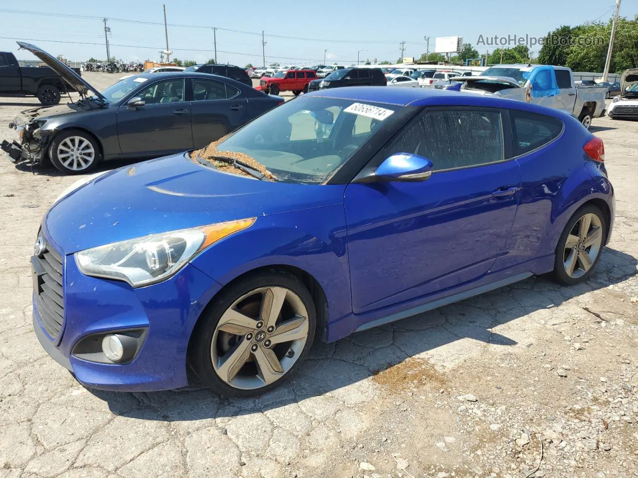 2013 Hyundai Veloster Turbo Blue vin: KMHTC6AE8DU151826