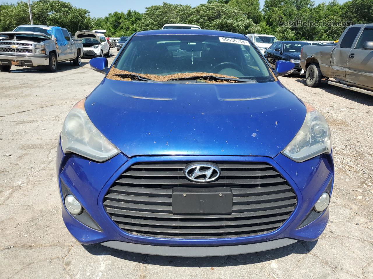 2013 Hyundai Veloster Turbo Blue vin: KMHTC6AE8DU151826