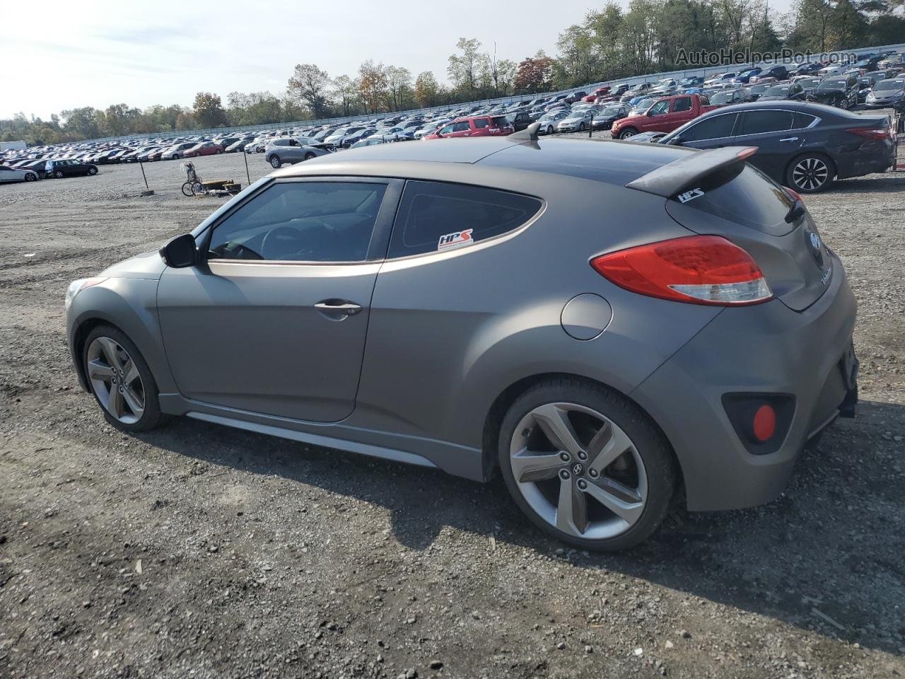 2013 Hyundai Veloster Turbo Gray vin: KMHTC6AE9DU135053