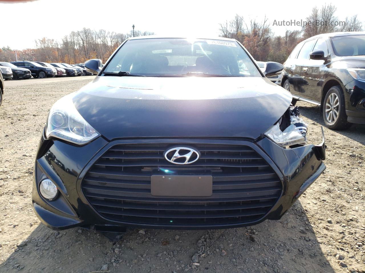 2013 Hyundai Veloster Turbo Black vin: KMHTC6AE9DU155710