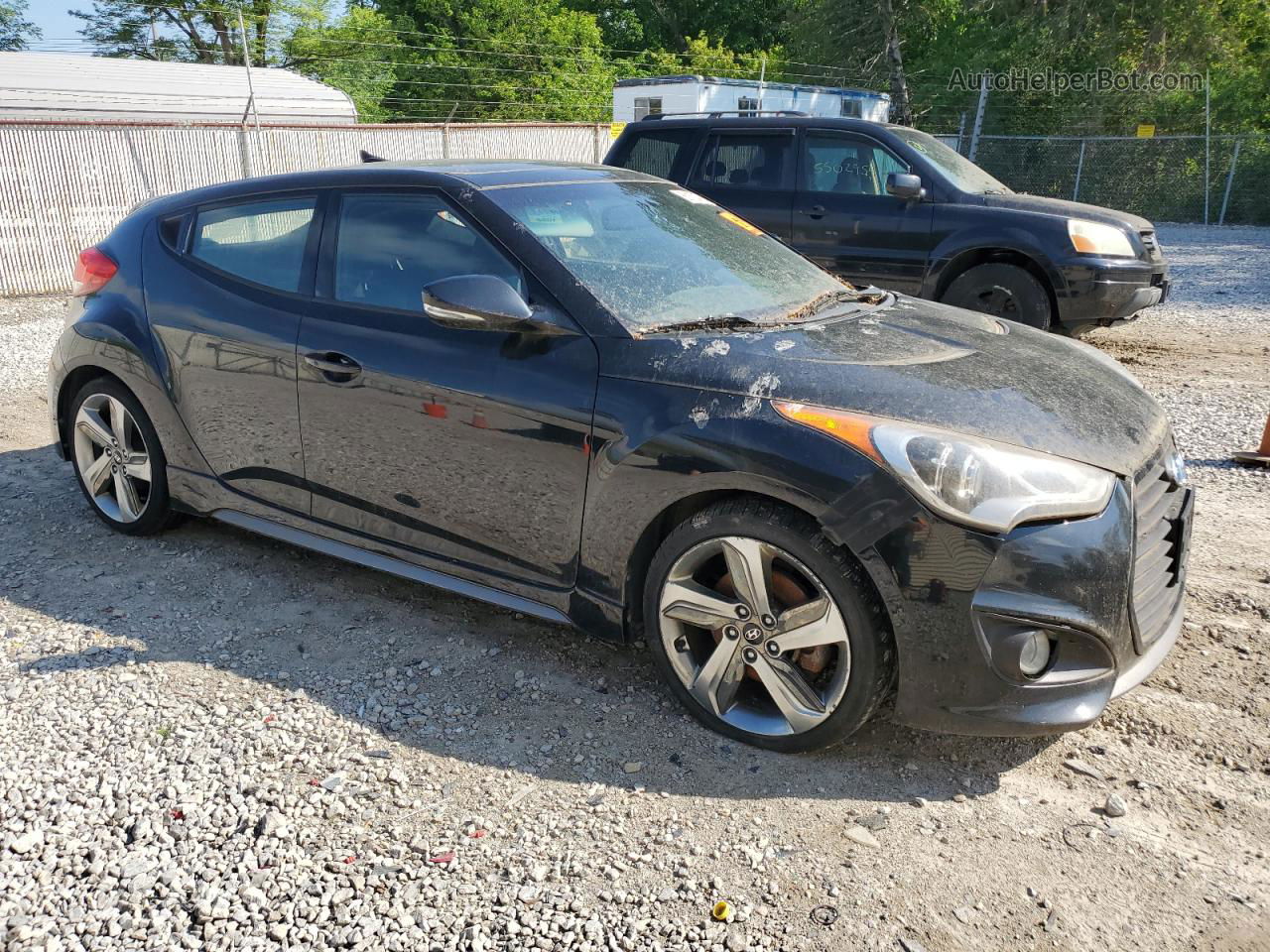 2013 Hyundai Veloster Turbo Black vin: KMHTC6AEXDU110047