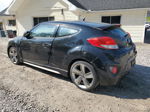 2013 Hyundai Veloster Turbo Black vin: KMHTC6AEXDU110047