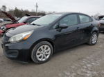 2014 Kia Rio Lx Black vin: KNADM4A32E6365643