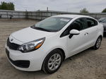 2014 Kia Rio Lx White vin: KNADM4A32E6396259