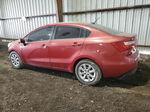 2013 Kia Rio Lx Burn vin: KNADM4A33D6263203