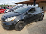 2014 Kia Rio Lx Black vin: KNADM4A33E6405616