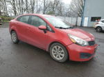 2013 Kia Rio Lx Красный vin: KNADM4A35D6110600