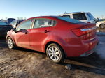 2013 Kia Rio Lx Red vin: KNADM4A37D6138835