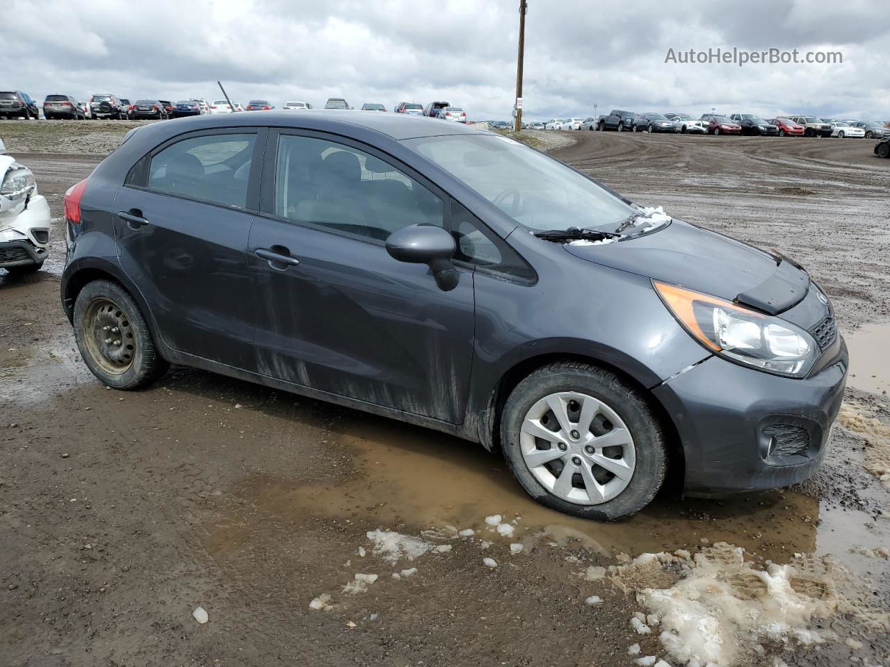 2013 Kia Rio Lx Gray vin: KNADM5A34D6861614