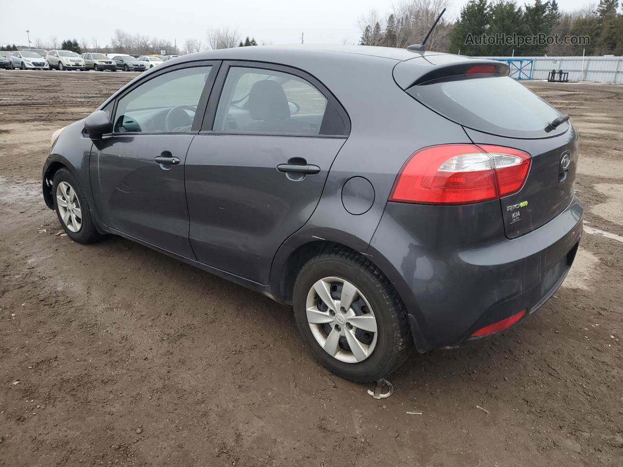 2013 Kia Rio Lx Gray vin: KNADM5A3XD6765048