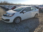 2013 Kia Rio Ex White vin: KNADN4A31D6169821