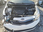 2013 Kia Rio Ex White vin: KNADN4A31D6169821