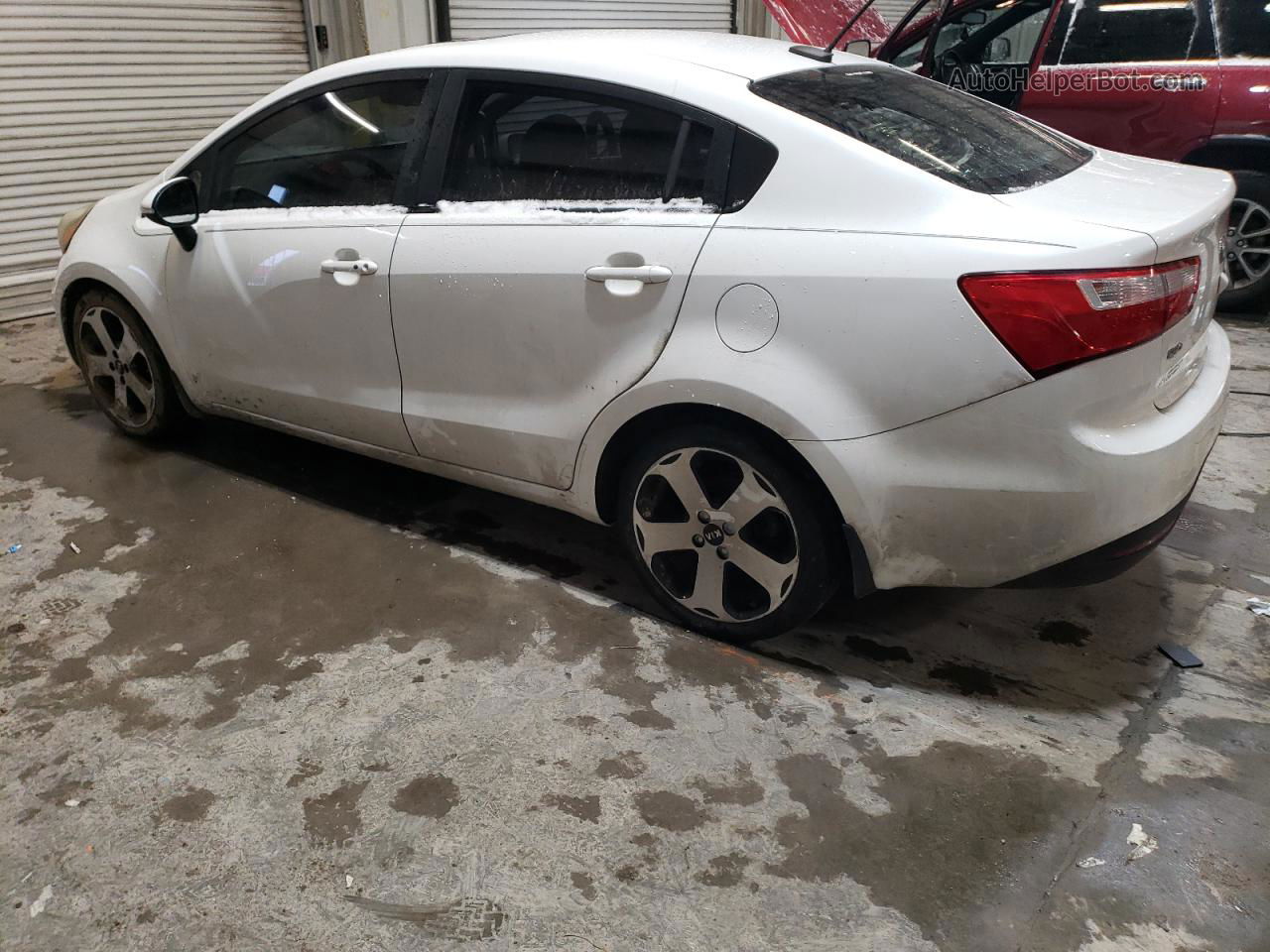 2013 Kia Rio Ex Белый vin: KNADN4A34D6148655