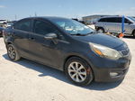 2013 Kia Rio Ex Black vin: KNADN4A37D6113639