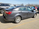 2013 Kia Rio Ex Gray vin: KNADN4A39D6201561