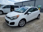 2013 Kia Rio Ex Белый vin: KNADN5A30D6191735