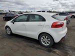 2013 Kia Rio Ex Белый vin: KNADN5A32D6229367