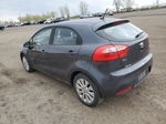 2013 Kia Rio Ex Серый vin: KNADN5A32D6861558