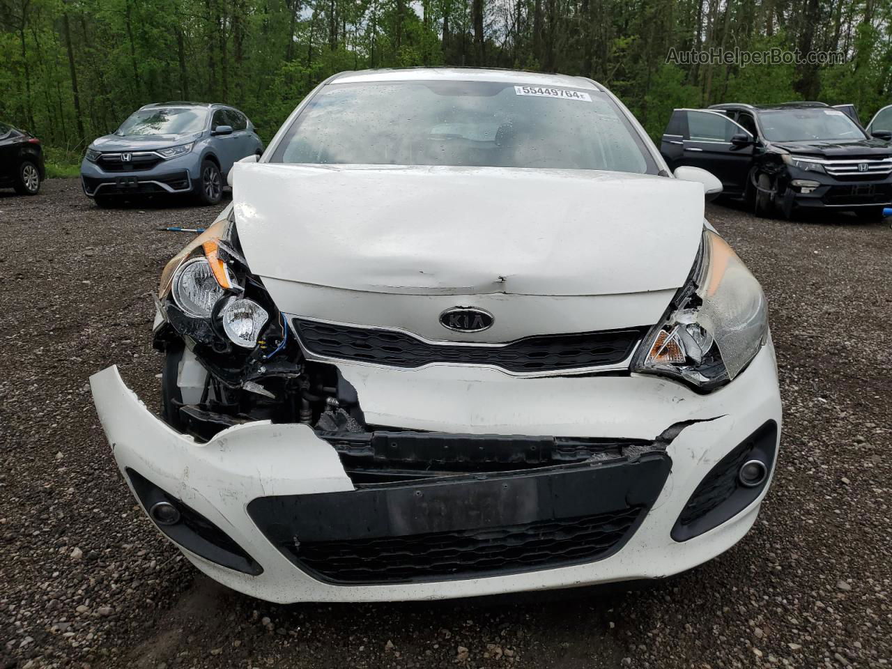 2013 Kia Rio Ex White vin: KNADN5A37D6768034